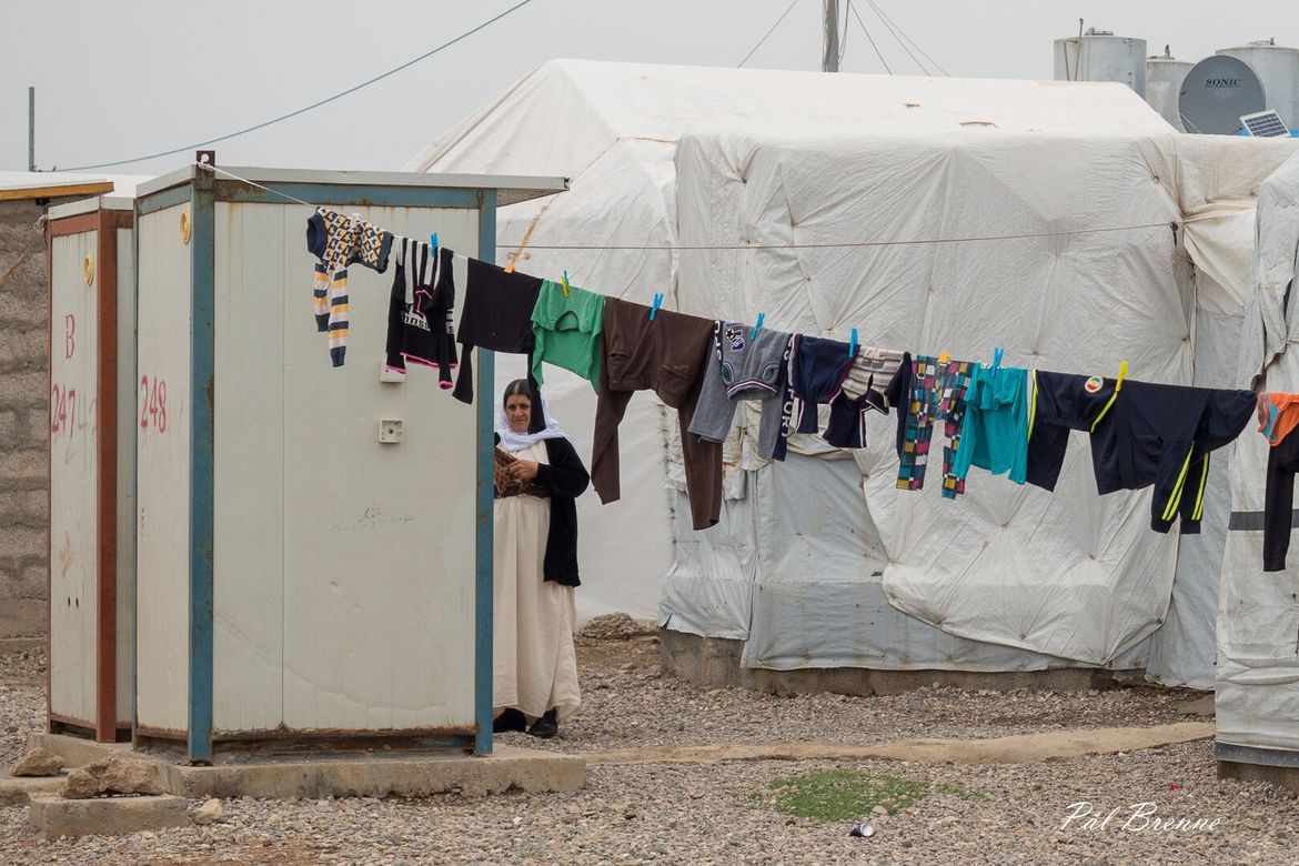 Ein flyktningleir for fordrivne jesidiar i Irak.